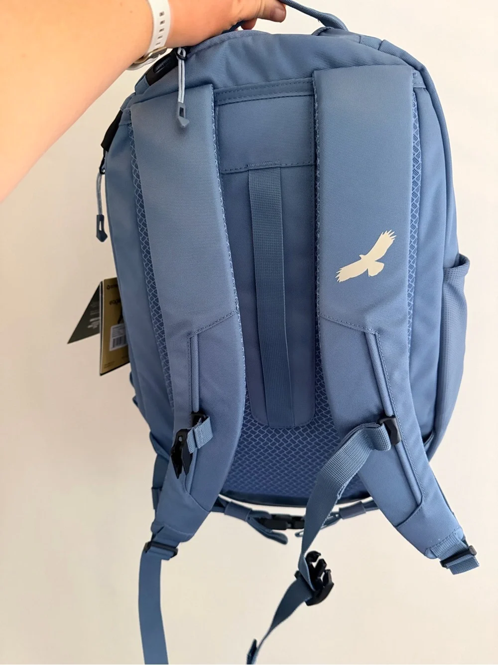 Eagle Creek Blue Everyday Backpack